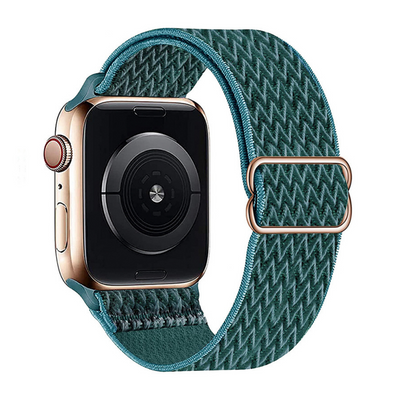 ALK Stretch Nylon Band for Apple Watch in Peacock
