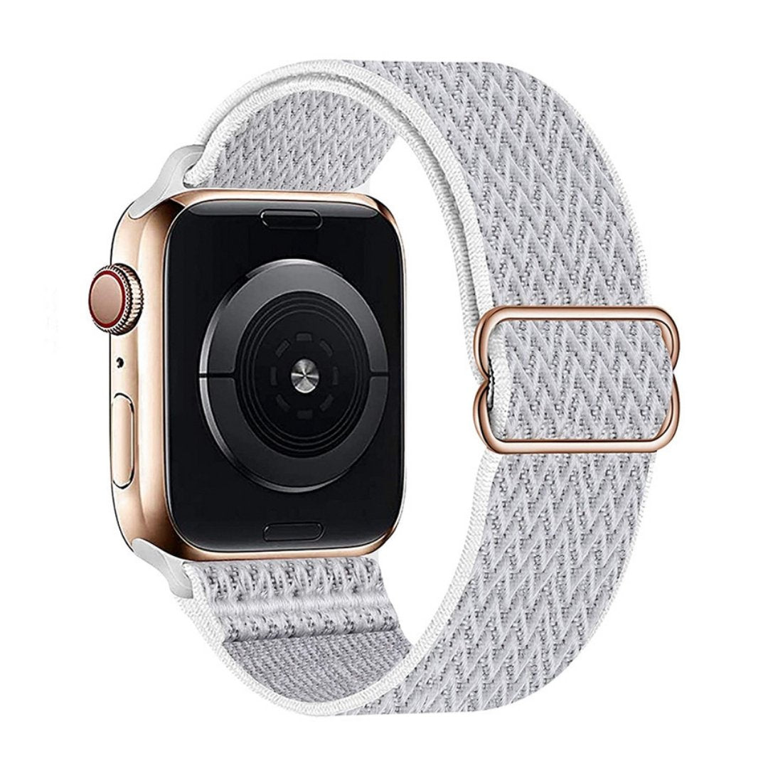 ALK Stretch Nylon Band for Apple Watch in Coin